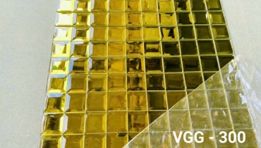 VGS 300